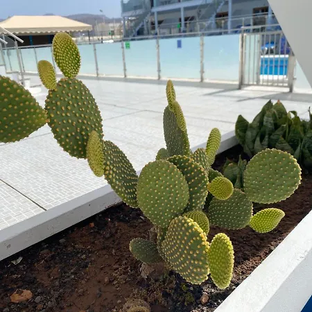 Rt-apartamentos Sol Y Paz Puerto Rico (Gran Canaria)